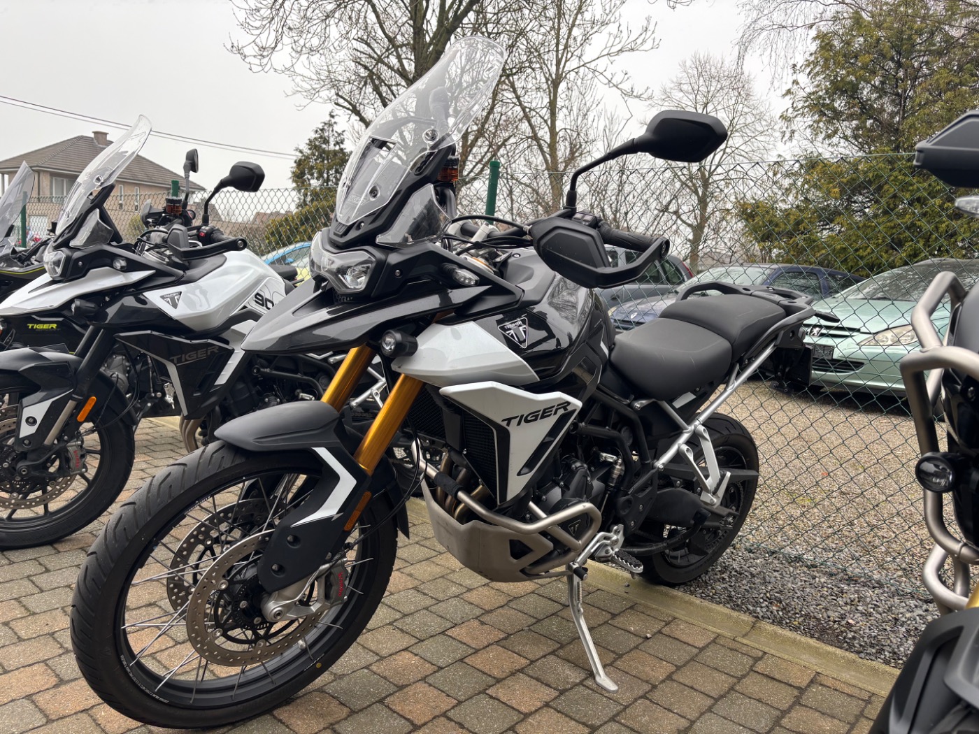 Tiger 900 Rally Pro Carbon Black / Sapphire Black